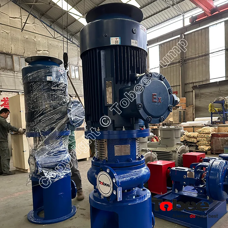 Vertical Mission Pumps